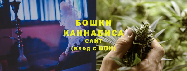 сатива Абаза