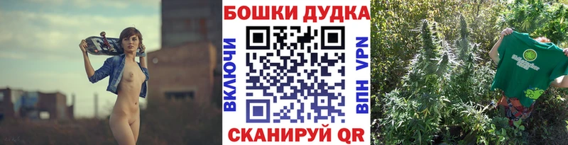 закладка  Камень-на-Оби  Бошки марихуана планчик 